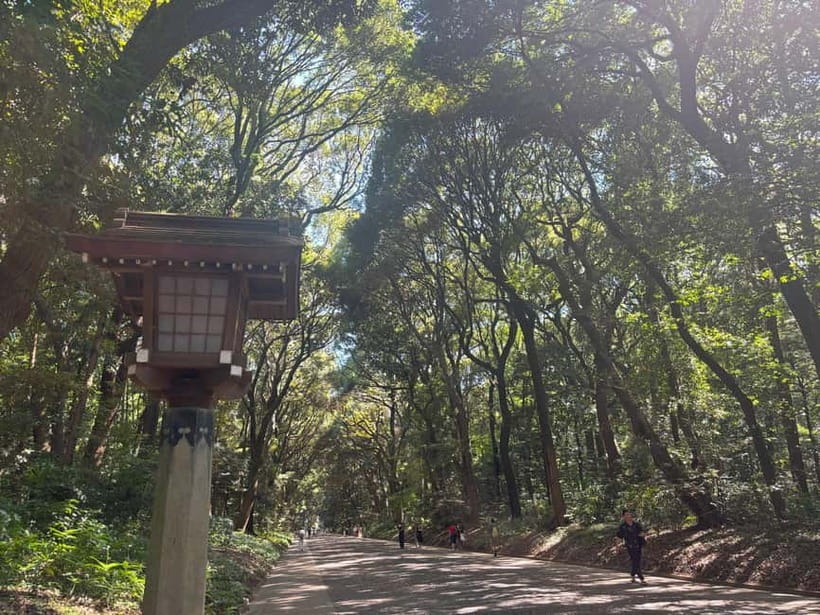 Tokyo: Meiji Jingu, Yoyogi Park & Takeshita Street Tour - Yoyogi Park: a short green breather in the middle of Harajuku