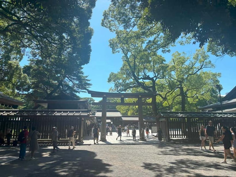 Tokyo: Meiji Jingu, Yoyogi Park & Takeshita Street Tour - What it costs, and why it’s fair for 3 hours