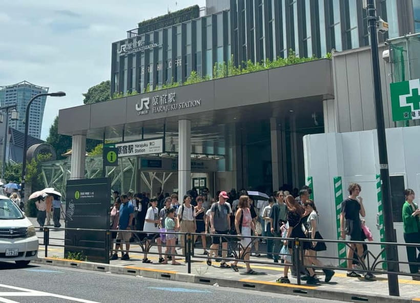 Tokyo: Meiji Jingu, Yoyogi Park & Takeshita Street Tour - How to make it feel easy: shoes, sun, and pace