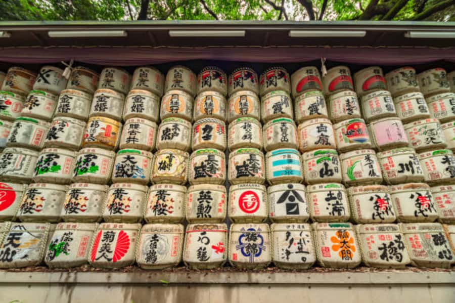 Tokyo: Meiji Shrine Walking Tour with Local Guide - Getting Started: Meeting the Guide and Reading the Approach