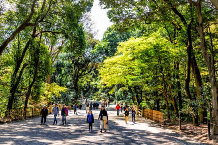 Tokyo: Meiji Shrine Walking Tour with Local Guide - Torii Etiquette: Bowing and Walking Left Like a Local