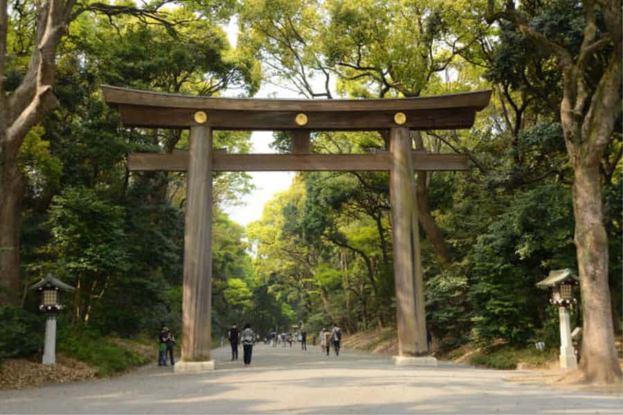 Tokyo: Meiji Shrine Walking Tour with Local Guide - The Sacred Forest Feeling: Serenity You Can Actually Locate