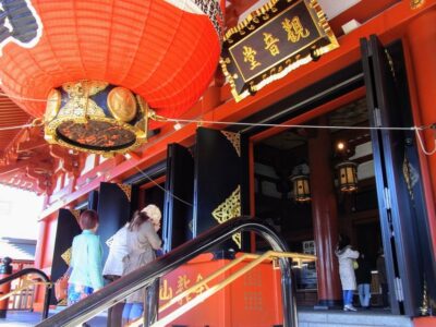 Tokyo: Morning Sightseeing Bus Tour - Meiji Jingu: learning shrine etiquette without feeling like you’re faking it