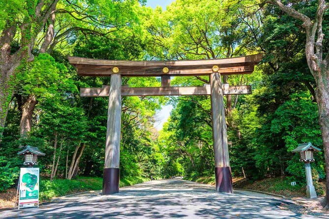 Tokyo Morning Tour : Meiji Shrine, Asakusa and Fish Market - Why a 4-hour morning loop works in Tokyo