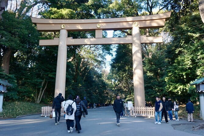 Tokyo Morning Tour : Meiji Shrine, Asakusa and Fish Market - Tsukiji Jogai Market: street-food tasting with market energy