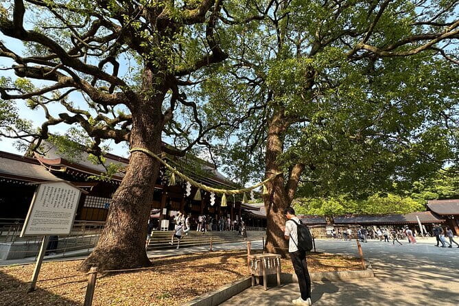 Tokyo Morning Tour : Meiji Shrine, Asakusa and Fish Market - What the English guide adds (and why it’s worth paying for)