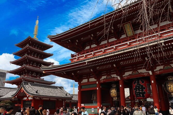 Tokyo Morning Tour : Meiji Shrine, Asakusa and Fish Market - Price and value: what $72.67 buys you in Tokyo time