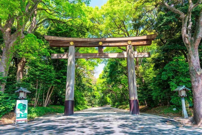 Tokyo Morning Tour: Meiji Shrine, Asakusa & Fish Market - Meeting at IKEA Harajuku: easy start, smart location