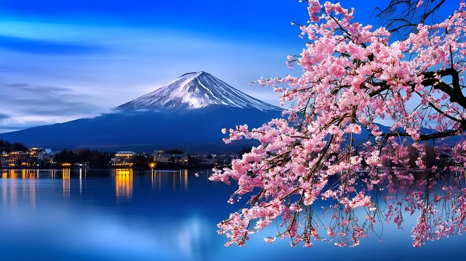 Tokyo: Mount Fuji and Hakone private sightseeing tour - Private pickup and two ways to plan your Fuji-Hakone day