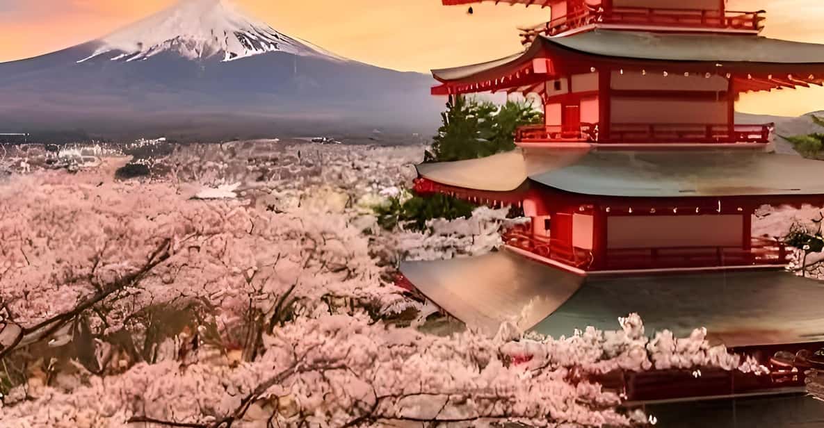 Tokyo: Mount Fuji and Hakone private sightseeing tour - What you get for $338 per group: car, driver, and real control