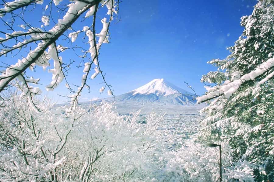 Tokyo: Mount Fuji Day Trip with Scenic & Local Stops - Quick take: what you’ll remember most