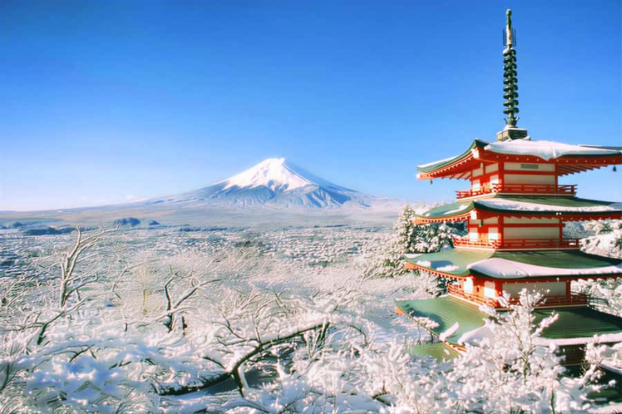 Tokyo: Mount Fuji Day Trip with Scenic & Local Stops - Why this Mount Fuji day trip is such good value at $44