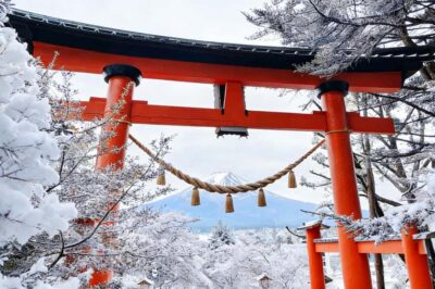 Tokyo: Mount Fuji Day Trip with Scenic & Local Stops - Getting from Tokyo without turning the day into a logistics project