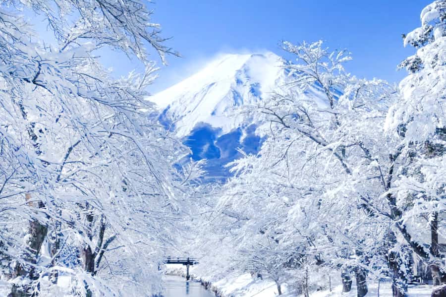 Tokyo: Mount Fuji Day Trip with Scenic & Local Stops - Oshino Hakkai: traditional village, clear spring ponds, koi nearby