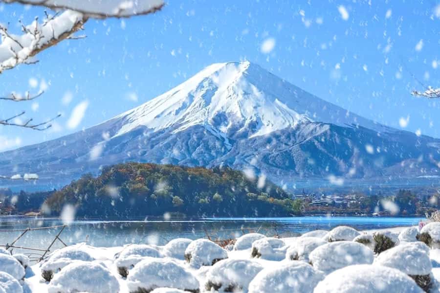 Tokyo: Mount Fuji Day Trip with Scenic & Local Stops - Photo tips that make this day trip actually pay off
