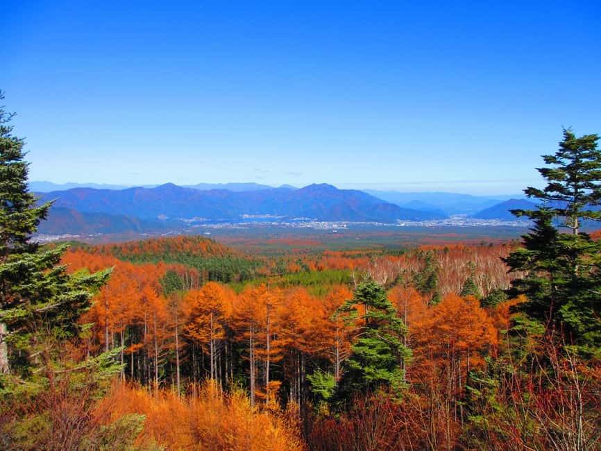 Tokyo: Mount Fuji, Gotemba & Hakone Day Trip by Luxury Bus - Mount Fuji fifth station: the closest big views, but watch for swaps