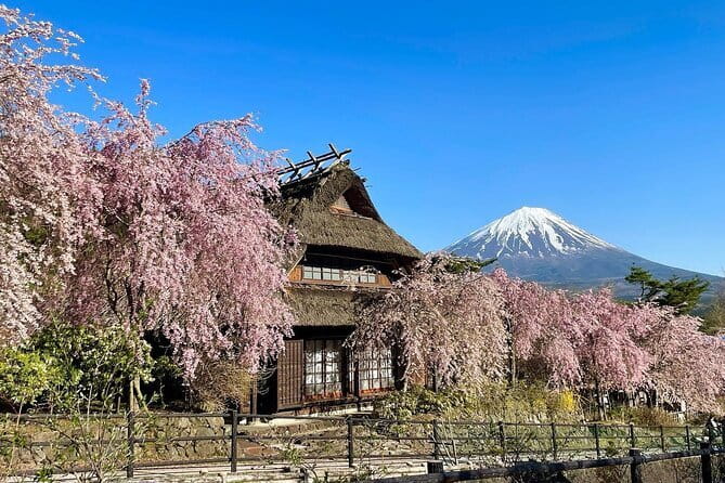 Tokyo: Mount Fuji Must-see Attractions One Day Sightseeing Tour - Who This Tour Fits Best