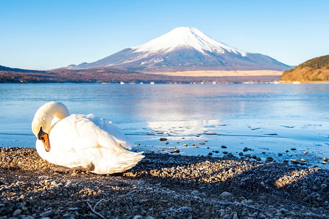 Tokyo: Mount Fuji One Day Trip Lake Kawaguchi & Lake Yamanaka - Group size and bus time: the real logistics of 10 hours