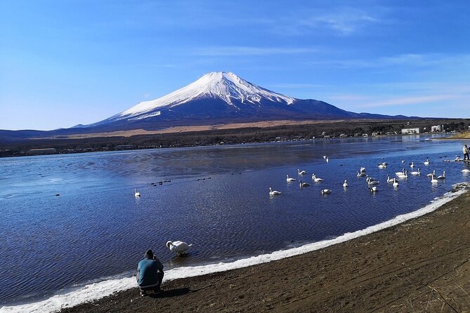 Tokyo: Mount Fuji One Day Trip Lake Kawaguchi & Lake Yamanaka - Lake Yamanaka: the closest Fuji view and the Swan Lake nickname, 25 minutes