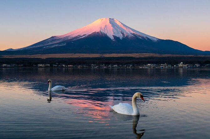 Tokyo: Mount Fuji One Day Trip Lake Kawaguchi & Lake Yamanaka - Oshino Hakkai: eight spring-water ponds and a full hour