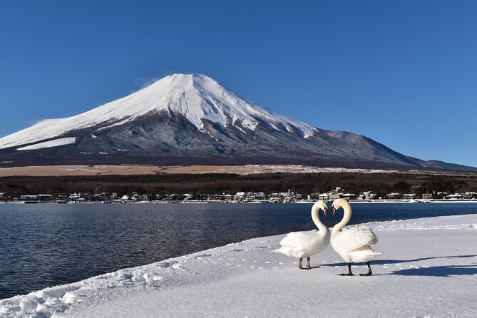 Tokyo: Mount Fuji One Day Trip Lake Kawaguchi & Lake Yamanaka - The Lawson photo stop near Fujikawaguchiko: 15 minutes of fun