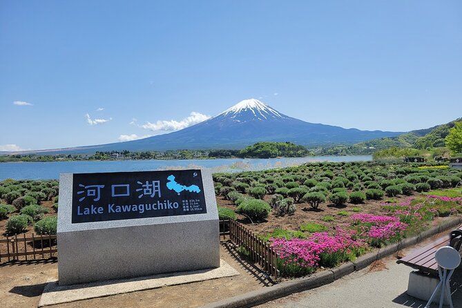 Tokyo: Mount Fuji One Day Trip Lake Kawaguchi & Lake Yamanaka - Chureito Pagoda at Arakurayama Sengen Park: the classic wide view, 1 hour