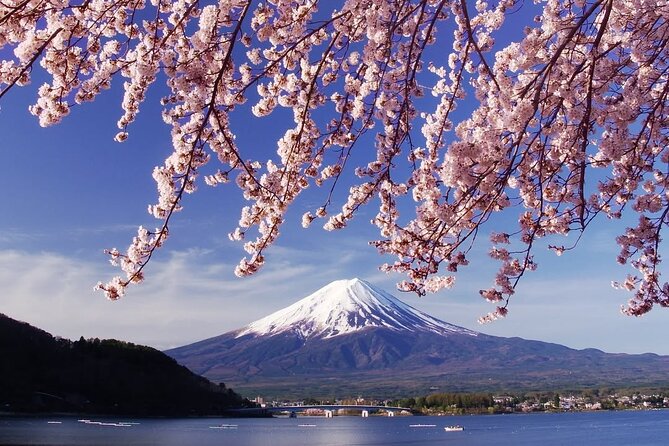 Tokyo: Mount Fuji One Day Trip Lake Kawaguchi & Lake Yamanaka - Lake Kawaguchiko: Fuji from the shoreline, 25 minutes