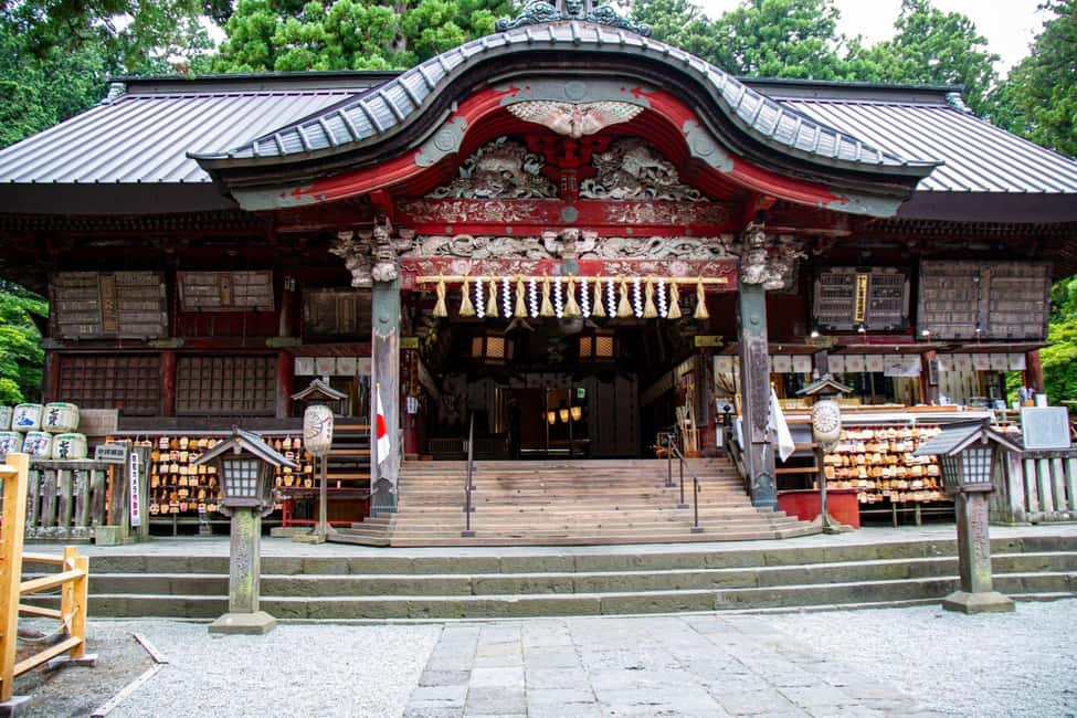 Tokyo: Mount Fuji Private Tour with Scenic Lunch Experience - Saiko Lake and Bat Cave: Forest Silence and Different Footing