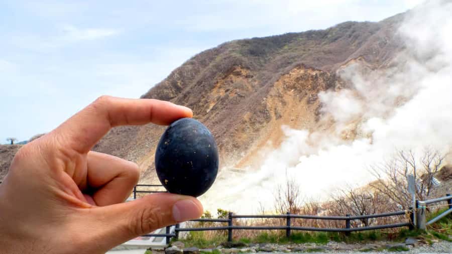 Tokyo: Mount Fuji Views and KABA Amphibious Bus Day Tour - Hirano Nohama: a smaller stop that keeps the day balanced