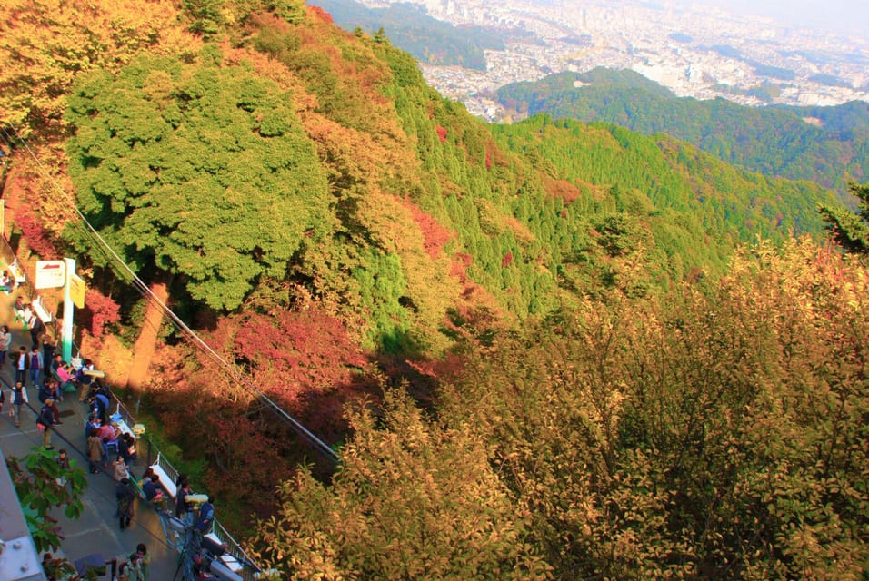 Tokyo: Mount Takao Guided Hiking Tour - Pacing, Moderate Hike Reality, and Who This Tour Fits Best