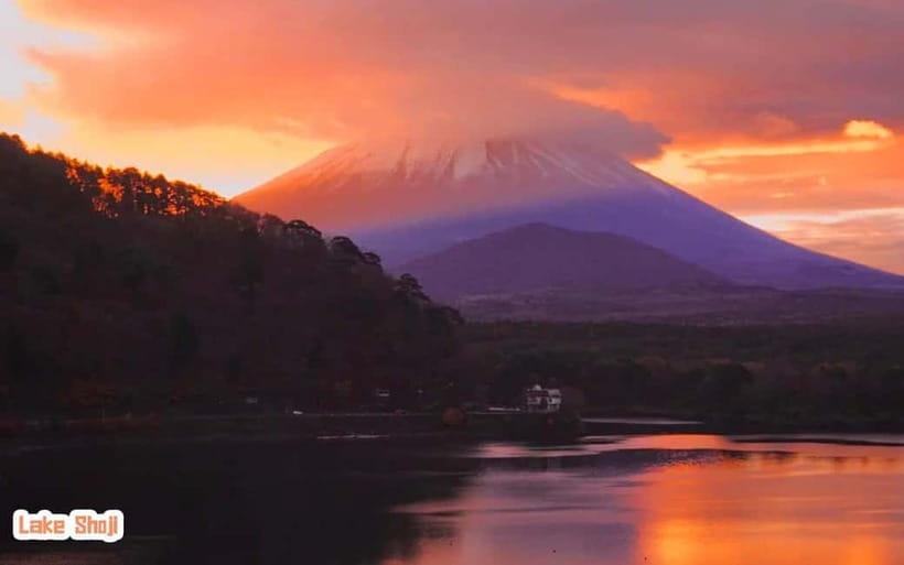 Tokyo: Mt Fuji 3 Lakes Day Trip | 9-Guest Small Group - Should You Book This Fuji 3 Lakes Day Trip?