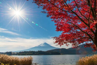 Tokyo: Mt. Fuji 5th St. & Hakushu Distillery Whisky Museum - Oishi Park on Lake Kawaguchi: photos, flowers, and easy downtime