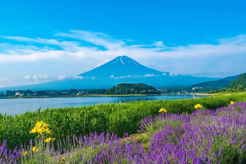 Tokyo: Mt. Fuji 5th St. & Hakushu Distillery Whisky Museum - Weather rules you should accept now, not later