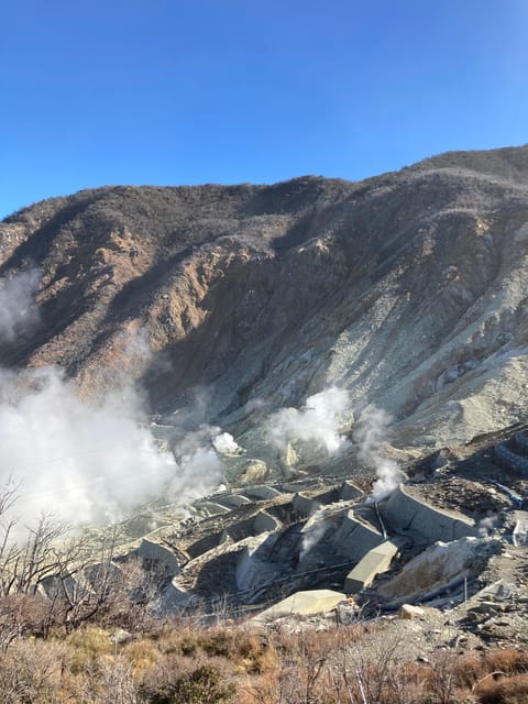 Tokyo: Mt. Fuji and Hakone Tour with Cable Car and Cruise - Timing, traffic, and schedule swaps: what can change on you