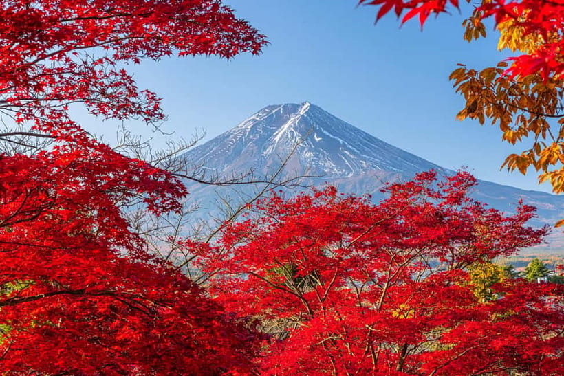 Tokyo: Mt. Fuji, Arakurayama Sengen Park, Oshino Hakkai Tour - Key highlights worth planning for