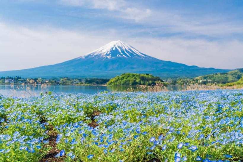Tokyo: Mt. Fuji, Arakurayama Sengen Park, Oshino Hakkai Tour - Price and value: $50 for multiple Fuji icons