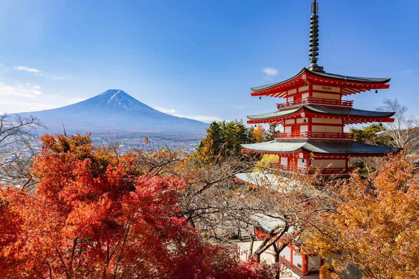 Tokyo: Mt. Fuji, Arakurayama Sengen Park, Oshino Hakkai Tour - Hikawa Clock Shop: a quick cultural break and souvenir browse