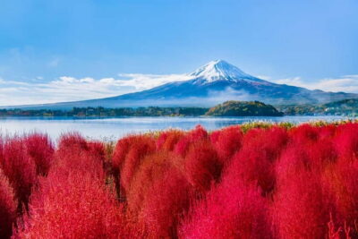 Tokyo: Mt. Fuji, Arakurayama Sengen Park, Oshino Hakkai Tour - Arakurayama Sengen Park: the five-story pagoda and Fuji in every season