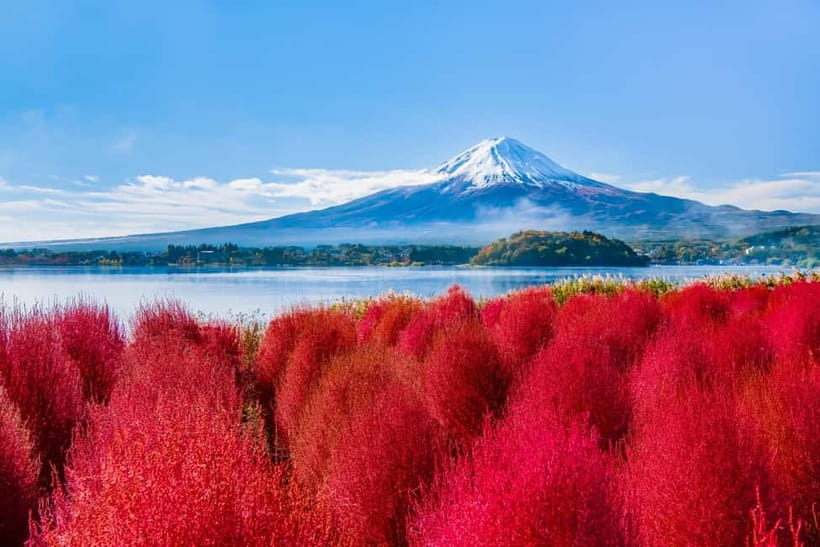 Tokyo: Mt. Fuji, Arakurayama Sengen Park, Oshino Hakkai Tour - Arakurayama Sengen Park: the five-story pagoda and Fuji in every season