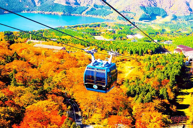 Tokyo: Mt. Fuji Cruise & Hakone Ropeway Day Trip by Bus - Lake Ashinoko Cruise: The Pirate Ship and the Fuji-Water Effect