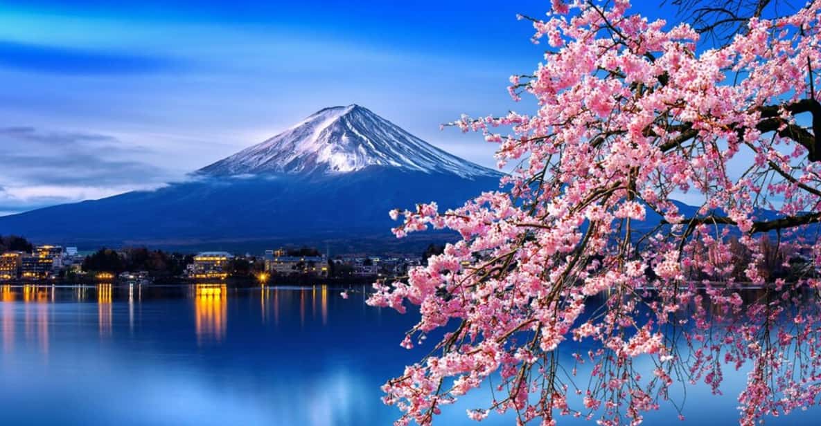 Tokyo: Mt. Fuji & Hakone Cherry Blossoms Private Day Tour - Key highlights to plan for