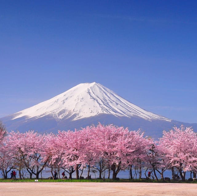 Tokyo: Mt. Fuji & Hakone Cherry Blossoms Private Day Tour - How this private Mt. Fuji and Hakone day actually feels