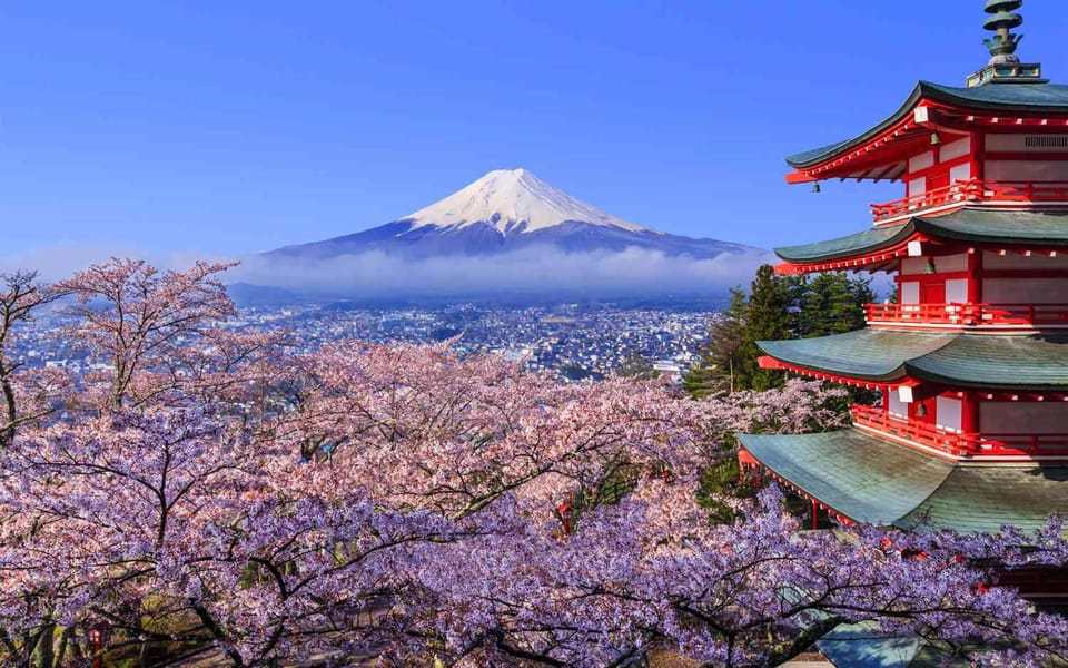 Tokyo: Mt. Fuji & Hakone Cherry Blossoms Private Day Tour - Chureito Pagoda cherry blossoms: the classic Fuji angle