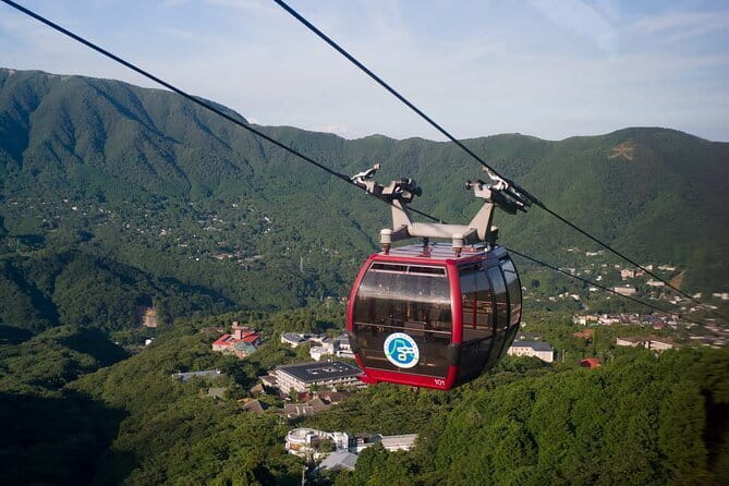 Tokyo Mt. Fuji Hakone Shrine, Owakudani, Lake Yamanakai Day Tour - Price and Value: What $76.96 Actually Covers