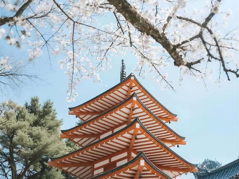 Tokyo: Mt. Fuji & Lake Kawaguchi Instagram Full Day Trip - Price and Value: What You’re Actually Paying For