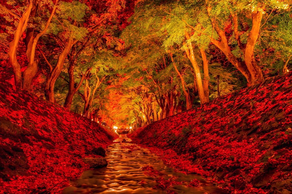 Tokyo: Mt Fuji Lake Kawaguchiko Tour & Arakuyama Sengen Park - Who Should Book This Trip (and Who Should Skip It)