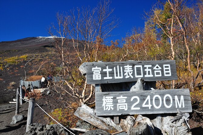 Tokyo: Mt. Fuji, Oshino Hakkai and Gotemba Outlets 1-Day Bus Tour - Key things you should know before you go