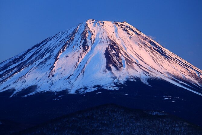 Tokyo: Mt. Fuji, Oshino Hakkai and Gotemba Outlets 1-Day Bus Tour - Shinjuku start: where to meet and why being early matters