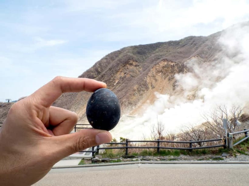 Tokyo: Mt. Fuji, Owakudani, Hakone Shrine, & Open-Air Museum - Escaping Tokyo: why Hakone is a strong one-day move