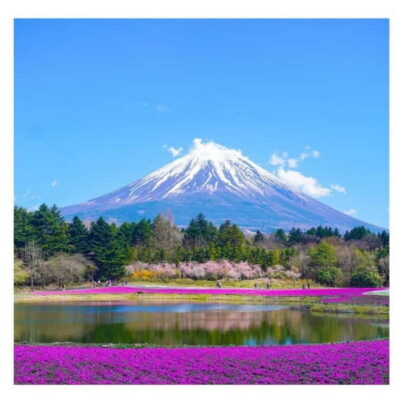 Tokyo: Mt Fuji Private Day Tour By English Driver Low Price - Kitaguchi-hongu Fuji Sengen Shrine: Pilgrims’ Gateway Feel